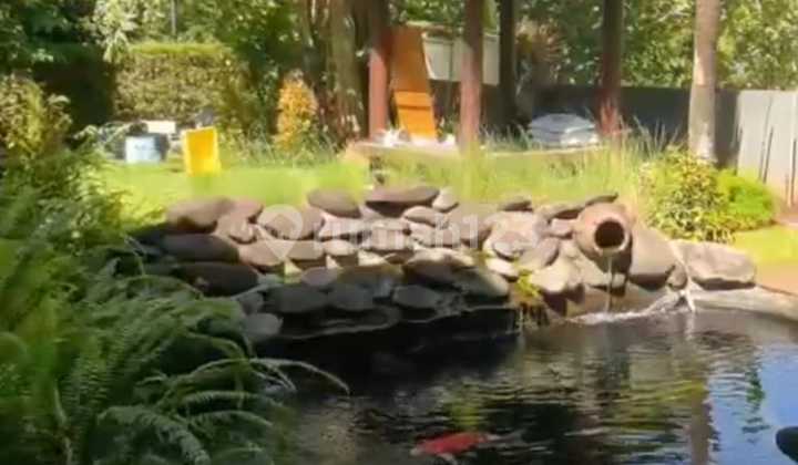 Quick Sale 18X34 De Brassia De Maja Bsd City 2