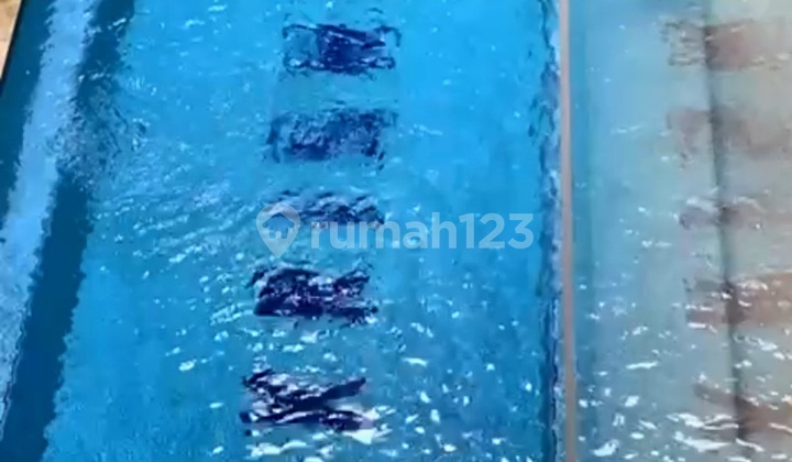 Rumah Mewah Ada Gym Studio Musicdan Dance Digading Serpong 2