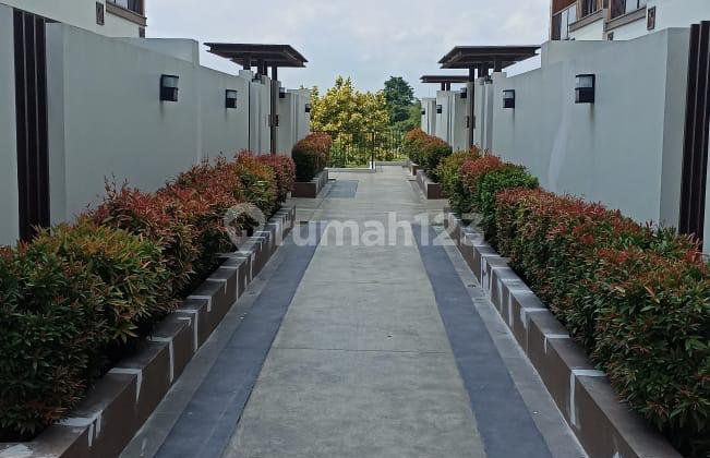 Setengah Dari Harga Beli Daisan Lavon 3 2