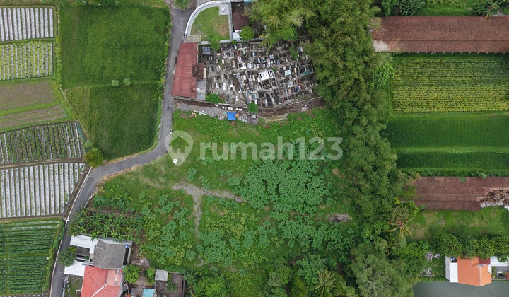 Tanah SHMP Siap Bangun Dekat Dawet Pak Bardi 