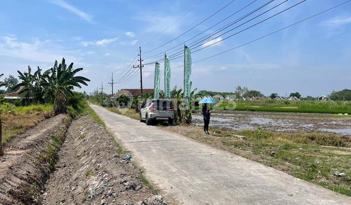 Tanah SHM Sleman Dekat Perumahan La calesa Godean