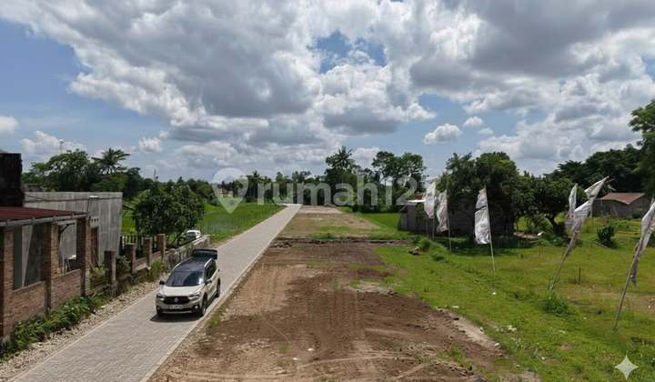 Tanah SHM Utara Ringin Pandowoharjo Sleman Tanah SHM Utara Ringin Pandowoharjo Sleman