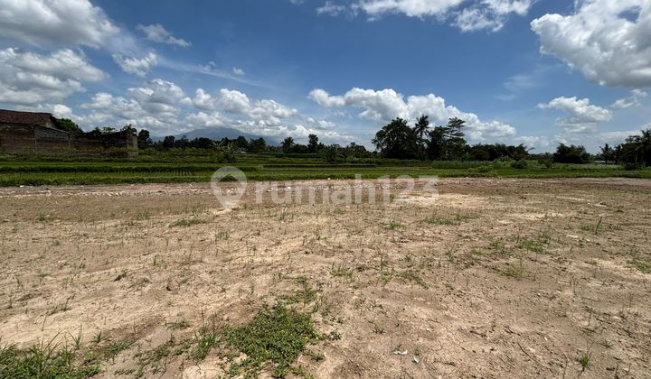 Pinggir Jalan Raya Pandowoharjo-Tanah Palagan Jogja SHM