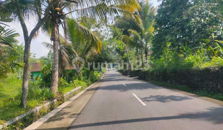 Utara Kampus UII Kalirang-Tanah Murah 1,6jt/m