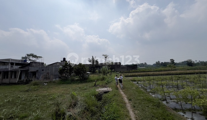 Tanah Tepi Jalan- Utara Jejamuran Pandowoharjo