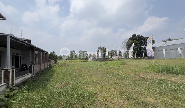Tanah Pinggir Jl. Raya Pandowoharjo Sleman