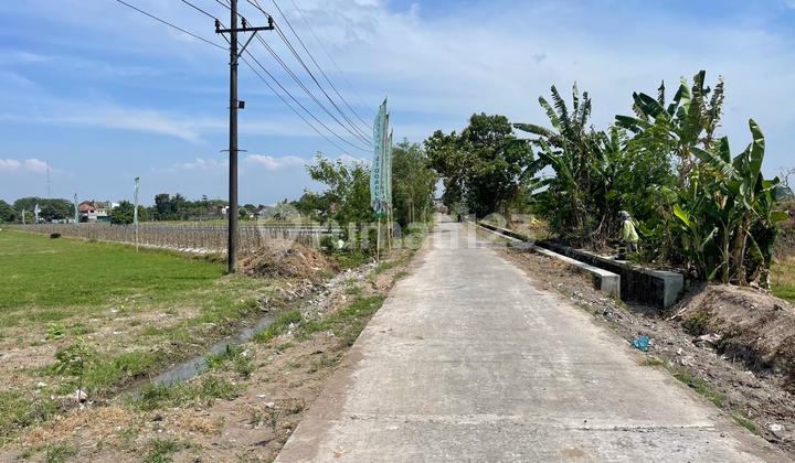 Tanah SHM Godean Dekat Ringroad Barat Tanah SHM Godean Dekat Ringroad Barat