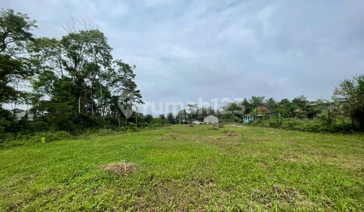 Tanah Jogja Utara Area Pakem View Gunung dan Lingkungan Asri Tanah Jogja Utara Area Pakem View Gunung dan Lingkungan Asri
