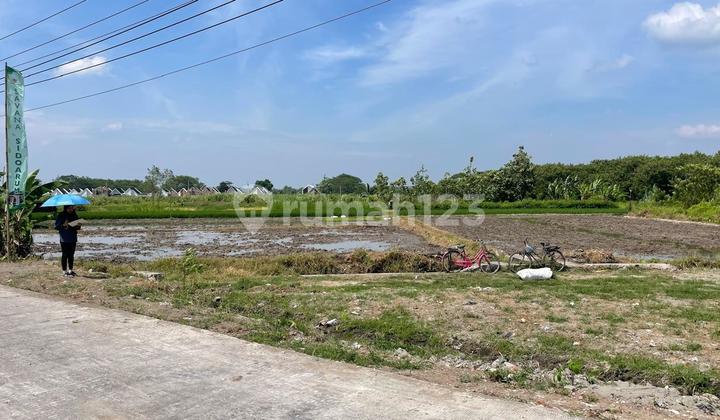 Tanah SHM Godean KM 7 Dekat Ringroad Tanah SHM Godean KM 7 Dekat Ringroad