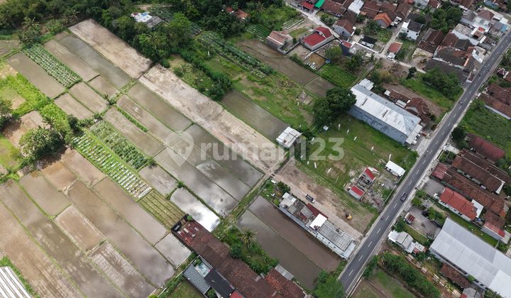 Tanah SHM Jogja Pinggir Jalan Raya Dekat Pemda Sleman Tanah SHM Jogja Pinggir Jalan Raya Dekat Pemda Sleman