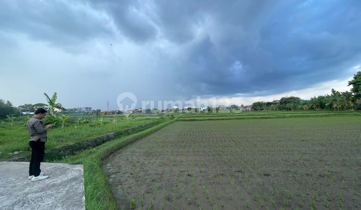 Tanah SHM Pecah Siap Balik Nama Utara Jec Tanah SHM Pecah Siap Balik Nama Utara Jec