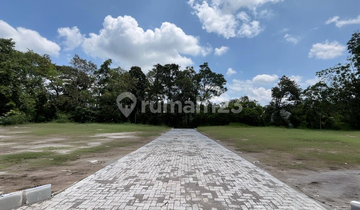 Free Balik Nama - Tanah SHM 2jt-an Utara Jl. Jogja-Solo Free Balik Nama - Tanah SHM 2jt-an Utara Jl. Jogja-Solo