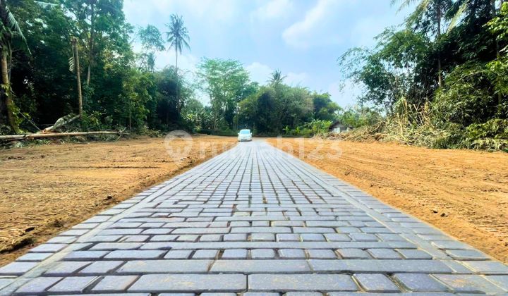 Dekat Gor Tridadi Area Pemda Sleman, Tanah Jogja SHM