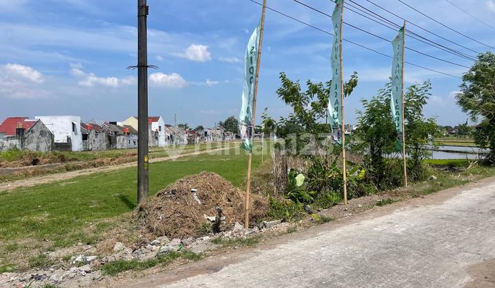 Tanah Jogja Belakang Al Azhar Boarding School Banyuraden