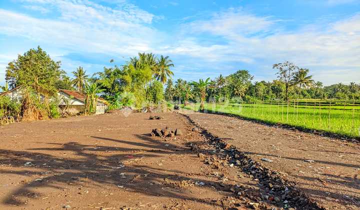 Tanah Cantik Pandowoharjo View Sawah & Gunung