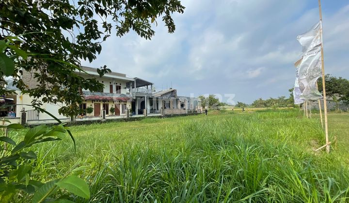 Utara Jejamuran Tanah Tepi Jl. Pandowoharjo