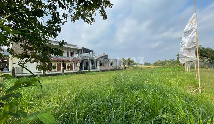 100 Meter Ringin Pandowoharjo, Tanah SHM Pinggir Jalan Raya 