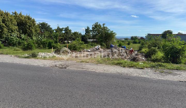 2 Freehold Land Parcels Bordering the Main Road &amp; 1 Km Road to Jogja Solo