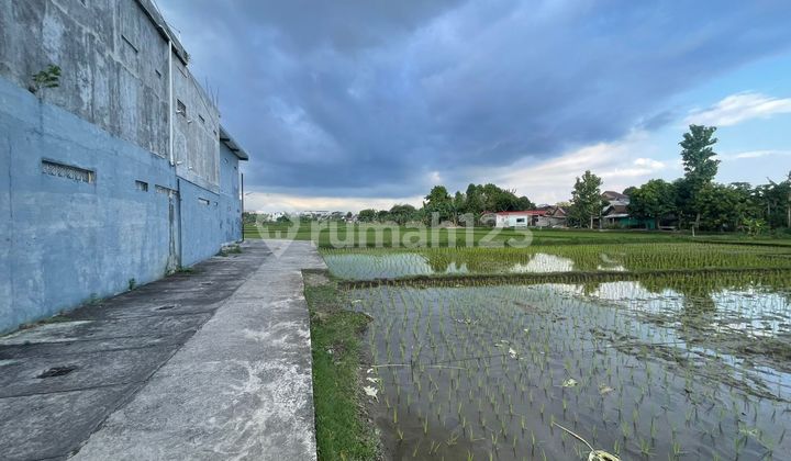 Tanah SHM Pecah Siap Balik Nama Utara Jec Tanah SHM Pecah Siap Balik Nama Utara Jec