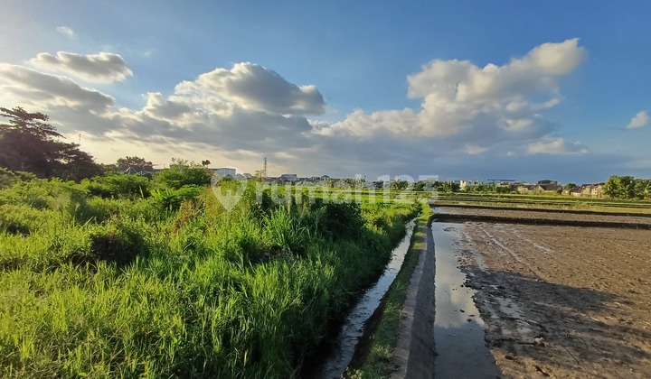 Di Kota Jogja Tanah View Sawah Siap Balik Nama, Dekat Plaza Ambarukmo