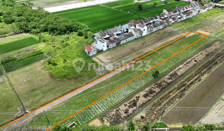 Dekat Kampus UNJAYA - Tanah Jogja SHM