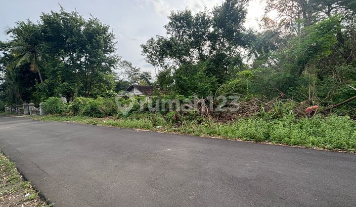 Tanah SHM Sleman 200 Meter Smp 2 Kalasan Tanah SHM Sleman 200 Meter Smp 2 Kalasan