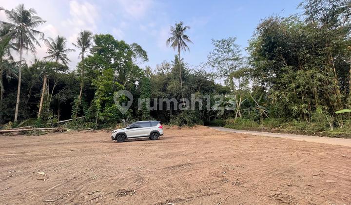 Yakin Untung! Tanah Murah Belakang BPN Sleman