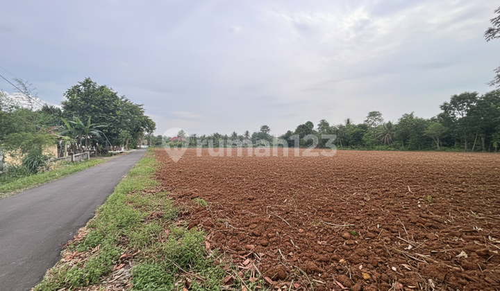 Tanah Sleman Timur 5 Menit Kelurahan Selomartani Kalasan