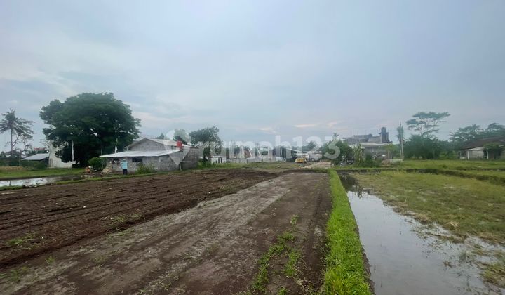 Tanah Jogja Dekat Masjid Suciati Gito Gati Tanah Jogja Dekat Masjid Suciati Gito Gati