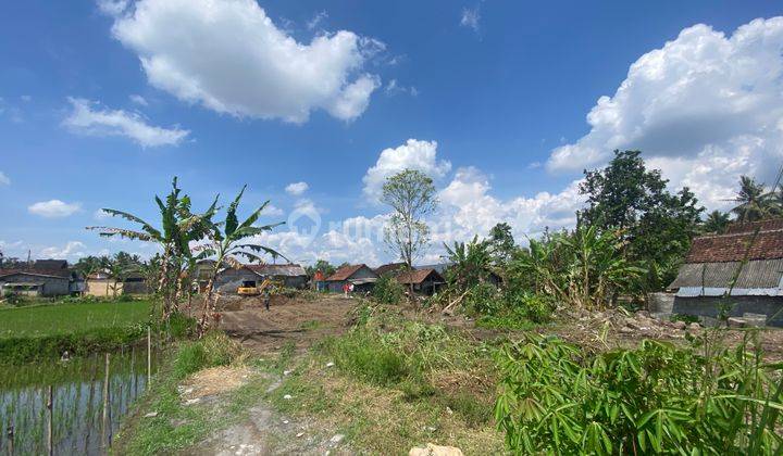 Tanah View Hamparan Sawah Permanen Cocok untuk Hunian dan Villa 
