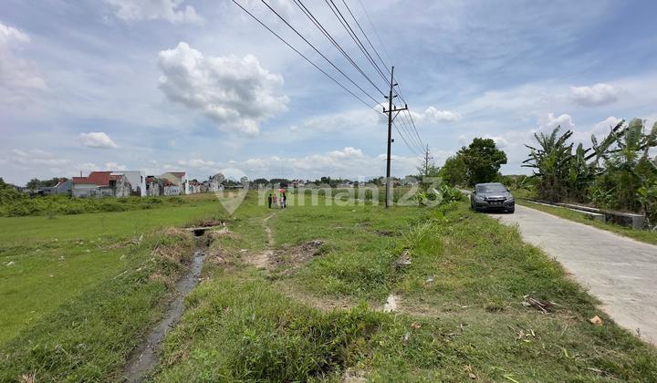 Buy Now Neighbors DIY Regional Police Later