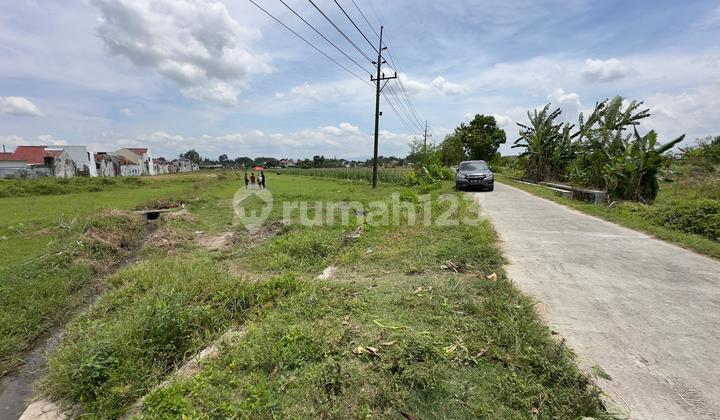 Tanah Sidomulyo Godean Timur Polda Jogja Tanah Sidomulyo Godean Timur Polda Jogja