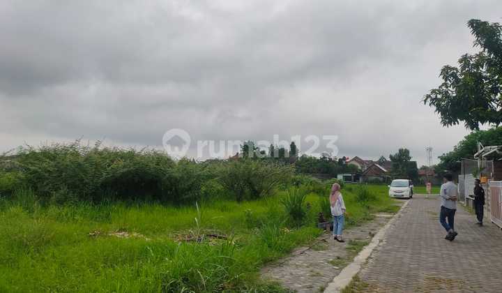 Tanah Tengah Kota Jogja View Sawah dan Plaza Ambarukmo