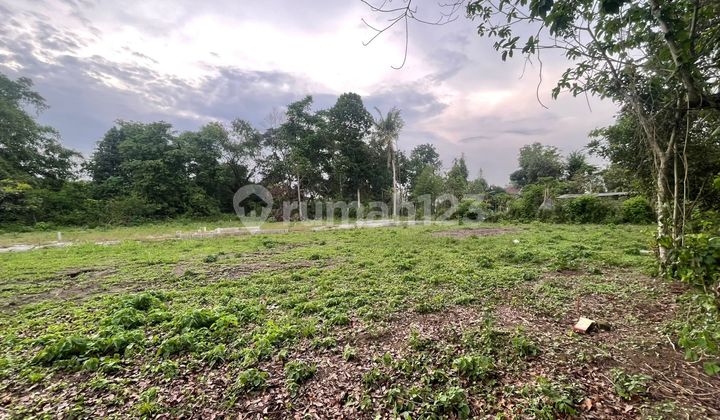 Tanah Kalasan Belakang Bpmp Jogja