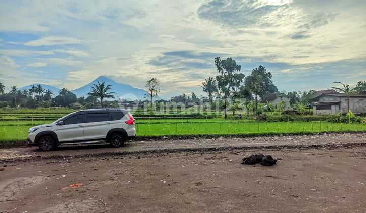 Tanah Pandowoharjo View Sawah dan Gunung