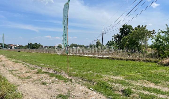 Tanah Nyaman Hunian Dekat Ringroad Barat Demak Ijo