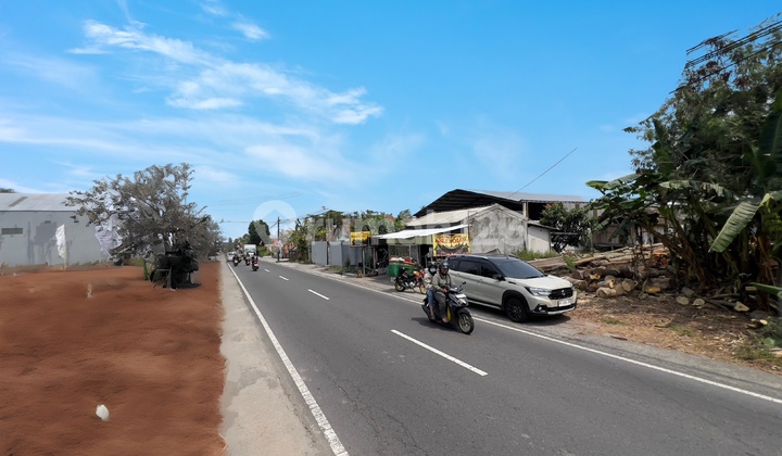 Tanah SHM Utara Ringin Pandowoharjo Sleman