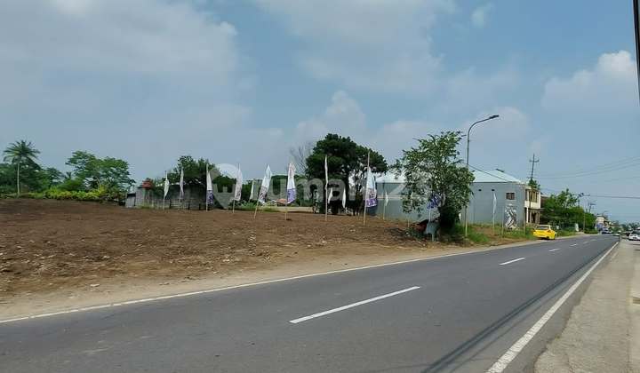 Tanah Pinggir Jalan Raya Utara Jejamuran Pandowoharjo