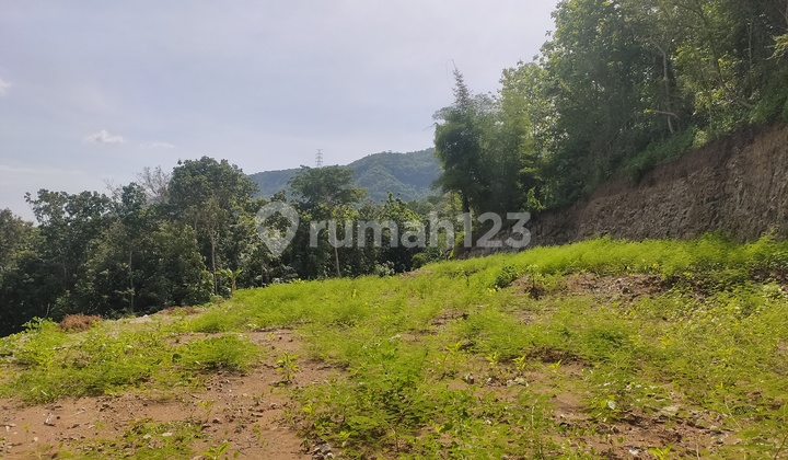 Tanah SHM Wonolelo Bantul 8 Menit Pasar Pleret 