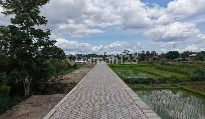 Tanah Pinggir Jalan Raya Utara Jejamuran Pandowoharjo