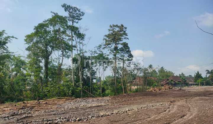 Tanah Jogja SHM Lingkungan Asri Cocok Hunian