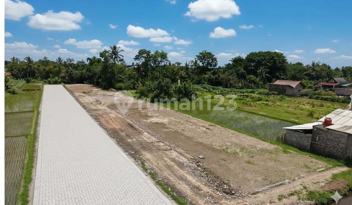 Tanah Area Palagan Pinggir Jalan bisa untuk Ruko