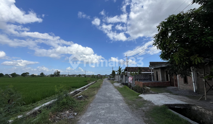 Tanah Dekat Ringroad Barat Nyaman untuk Hunian