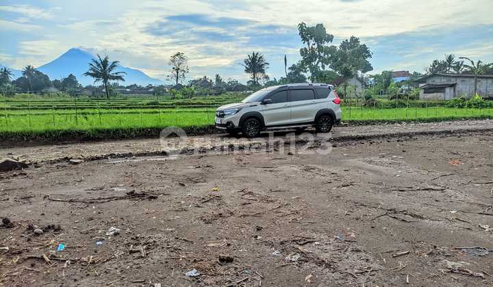 Tanah Cantik Pandowoharjo View Sawah & Gunung Tanah Cantik Pandowoharjo View Sawah & Gunung