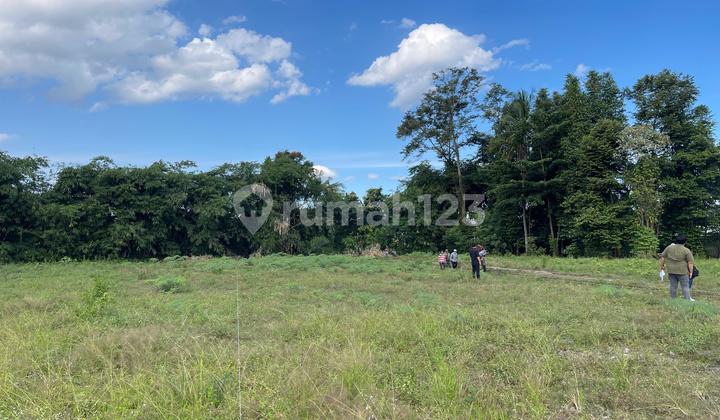 Dekat Ringin Purwomartani Tanah SHM Siap Bangun