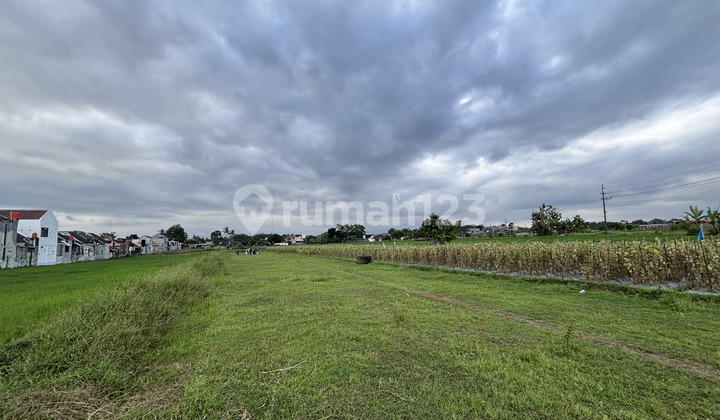 Tanah SHM Godean5 Menit Kampus UMY 