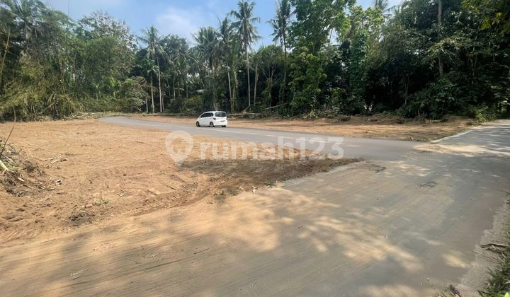 Tanah Area Pemda Sleman Belakang BPN 