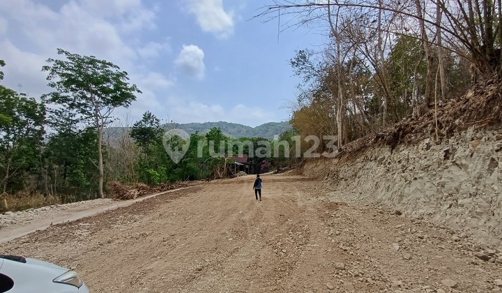 Tanah Murah Bantul Akses Mudah Dekat ke Kota Jogja Tanah Murah Bantul Akses Mudah Dekat ke Kota Jogja