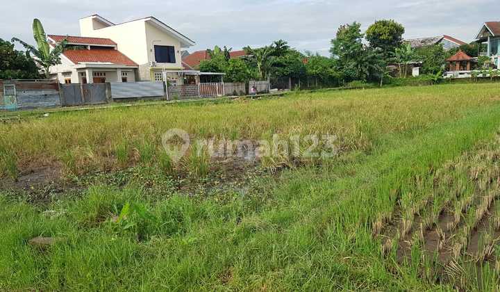 Tanah SHM Pecah Dekat Kampus Ugm Jogja, bisa untuk Kos Tanah SHM Pecah Dekat Kampus Ugm Jogja, bisa untuk Kos