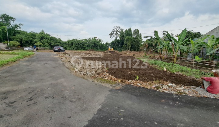Tanah Murah Jogja Dekat Sekolah Budi Mulia Tajem Tanah Murah Jogja Dekat Sekolah Budi Mulia Tajem